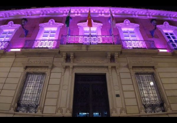  El Palacio Provincial se ha iluminado de color morado para visibilizar el Día Internacional del Síndrome de Dravet
