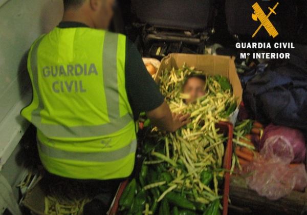 La Guardia Civil auxilia en el Puerto de Almería a dos personas que viajaban ocultos entre la carga de aceituna de un camión