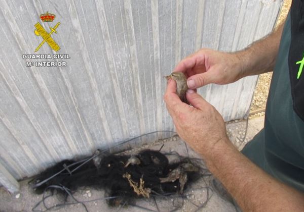 La Guardia Civil investiga a tres personas por la captura no permitida de aves con redes invisibles