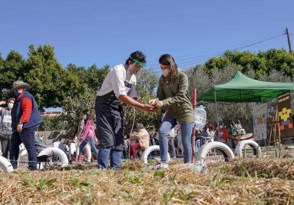 Diputación y ‘Almería Para todos’ inician el taller de Mini Huertos Caseros para medio centenar de familias
