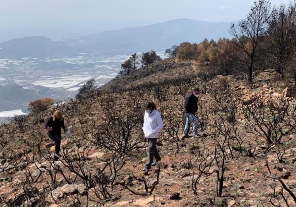 Berja organiza este domingo una gran reforestación en la zona incendiada de la Sierra de Gádor