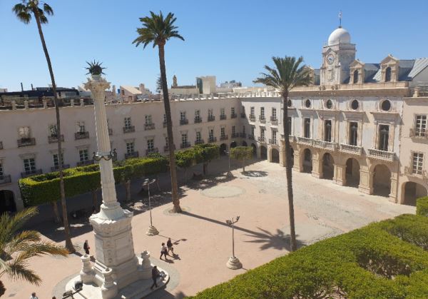 El bosque de la Plaza Vieja