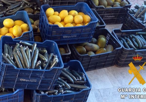 La Guardia Civil investiga a dos personas que transportan más de 350 Kg de producto hortofrutícola de ilícita procedencia como autores de un delito de hurto