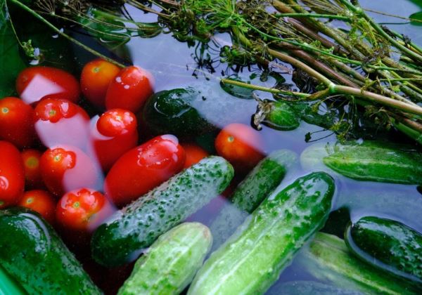 Berja organiza un curso de fabricación de conservas vegetales