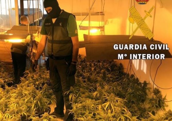 La Guardia Civil localiza en Huércal de Almería un cultivo indoor de marihuana y detiene a su responsable