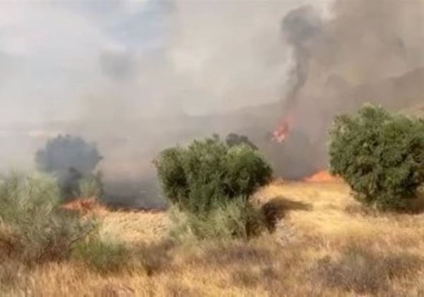 Bomberos forestales, ascuas sin apagar