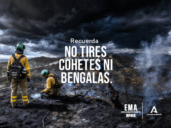 Incendios Forestales
