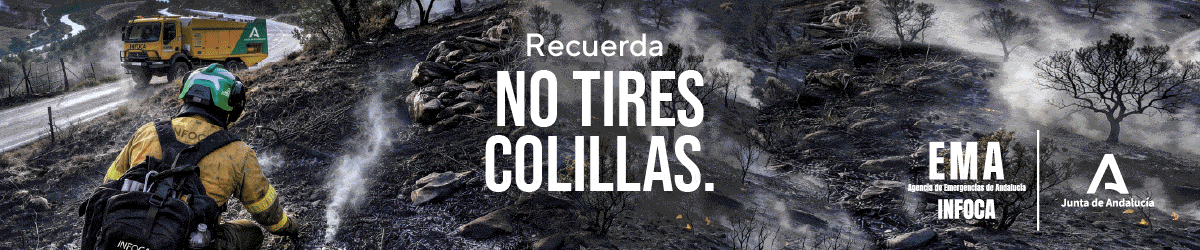 Incendios Forestales