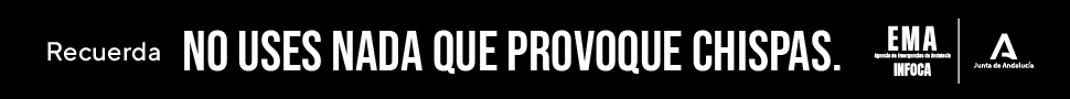Recuerda: No uses nada que provoque chispas
