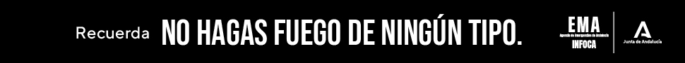 Recuerda: No hagas fuego de ningún tipo